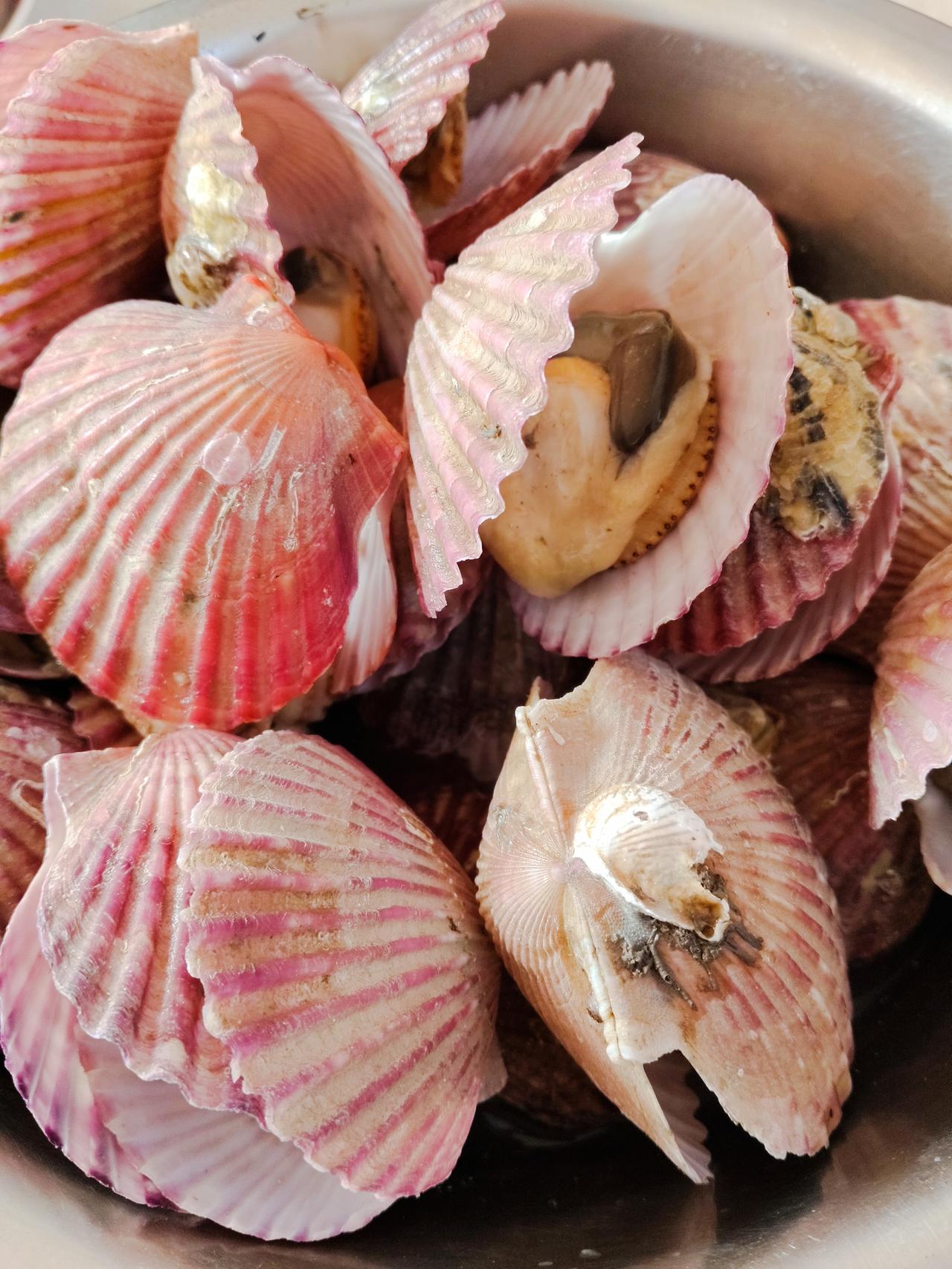 冬日生活打卡季前兩天在老媽家吃的扇貝很鮮liang洵哥 今日 参加 冬日生活打卡