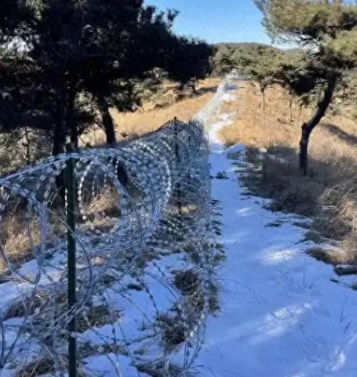 泰山这回算是捅了马蜂窝，135公里的刀片刺绳，花掉2500万，算下来一米185块