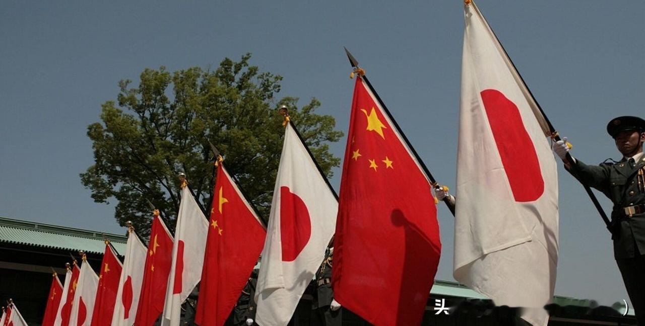 中方全面断供开始，高市真慌了！

东京这几天有个很扎眼的画面，北约30国大使一起