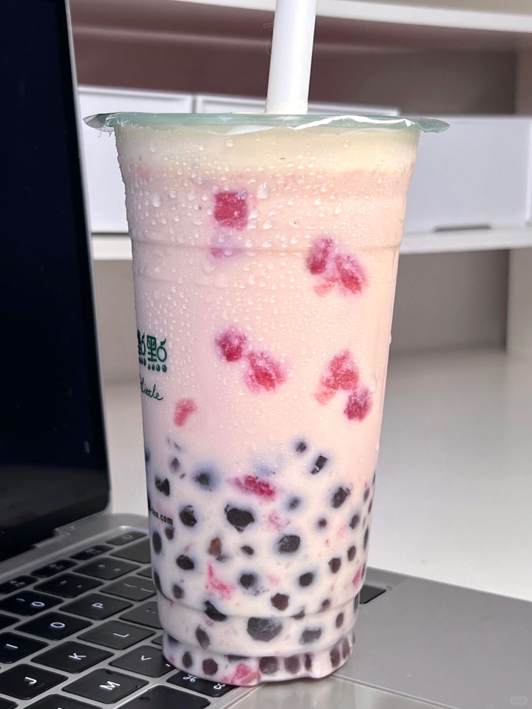 这杯真的没有对手！！！