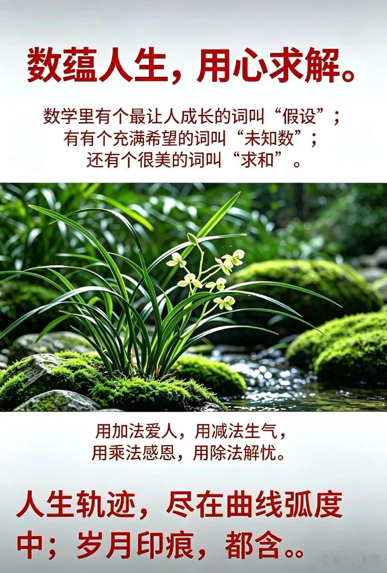 人生感悟语