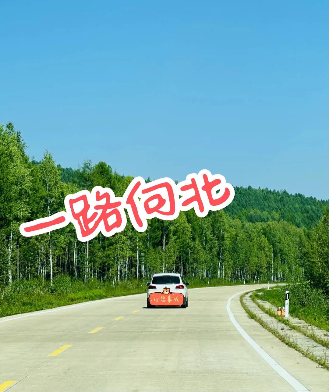 一路向北！抓住三伏末端小尾巴，去黑龙江避暑，一起听一听大兴安岭中的凄美爱情故事。