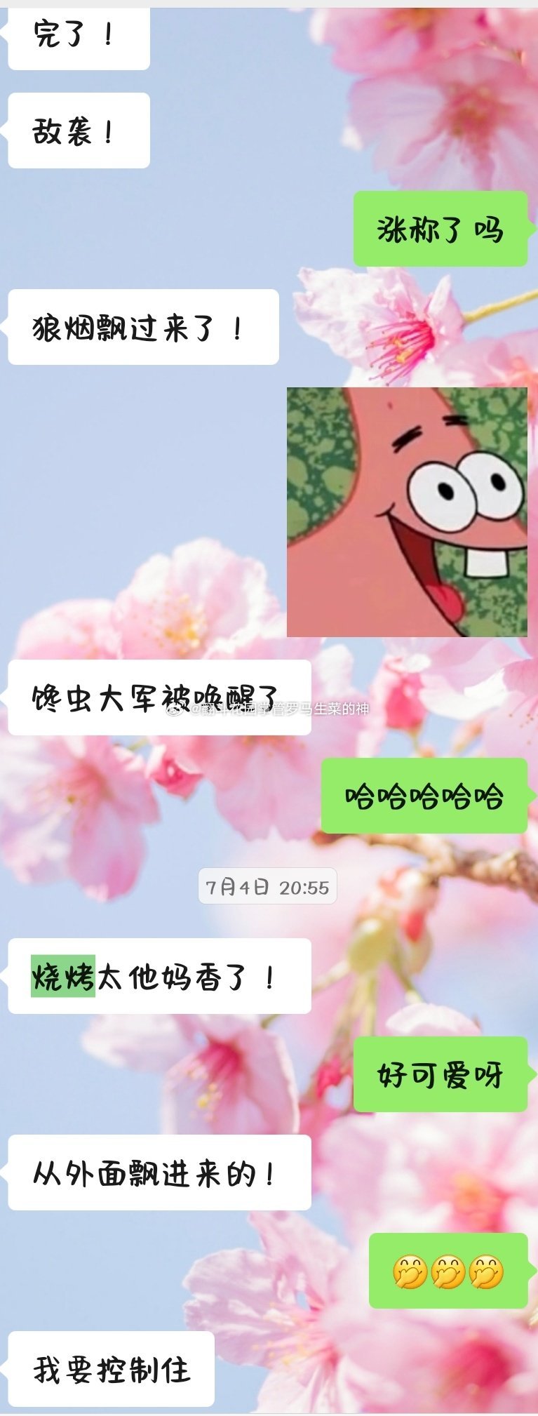 可爱十八 