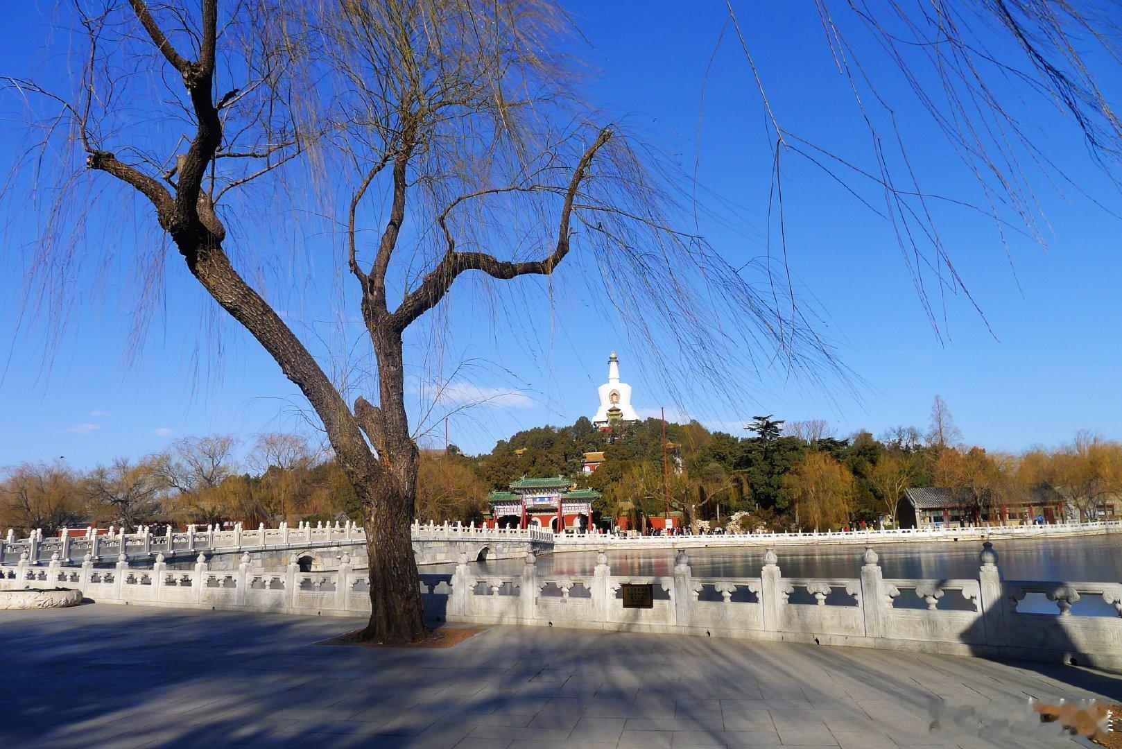 【仲冬时节】北京北海公园掠影摄影 