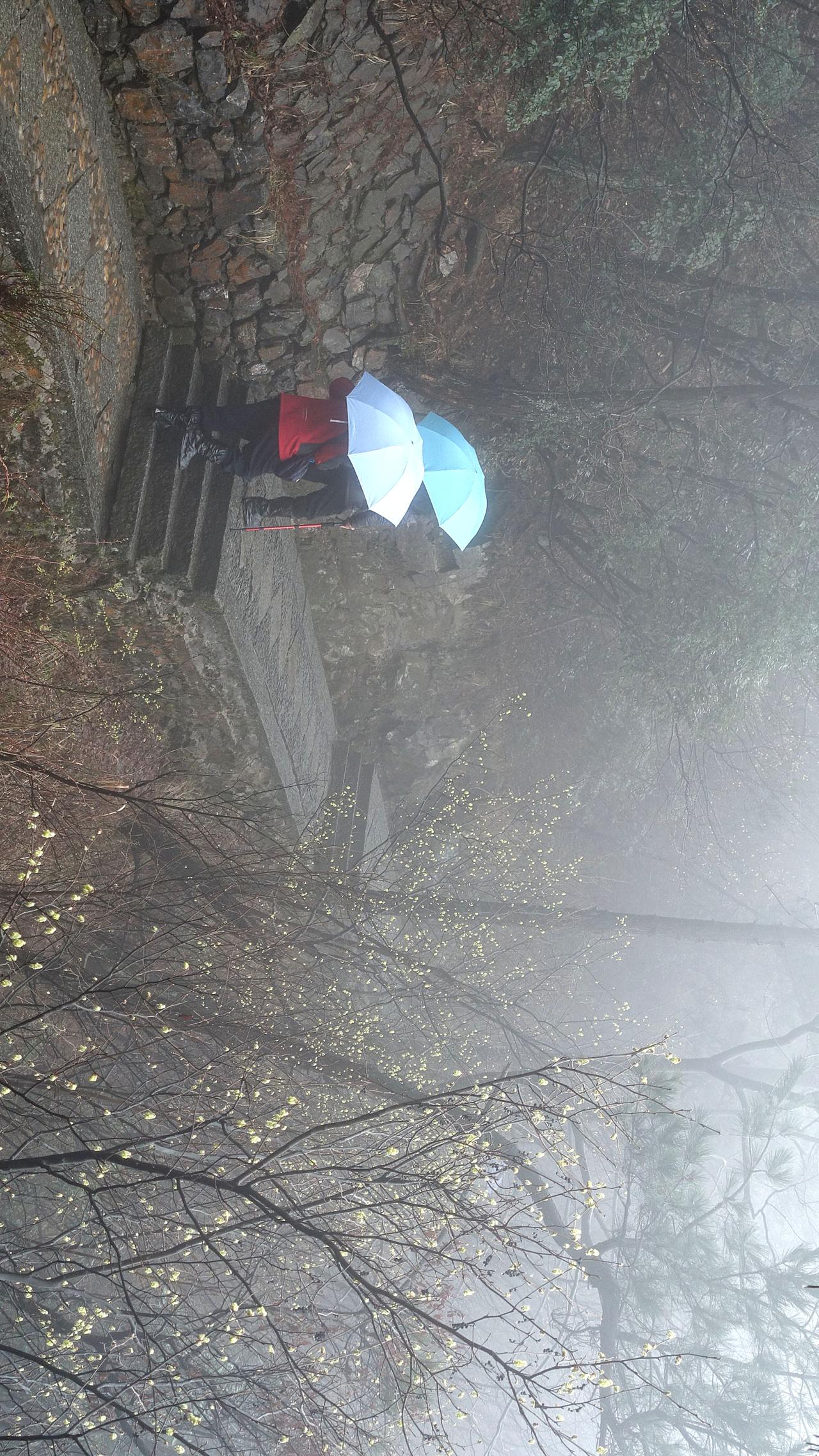 江南游，雾中的风景