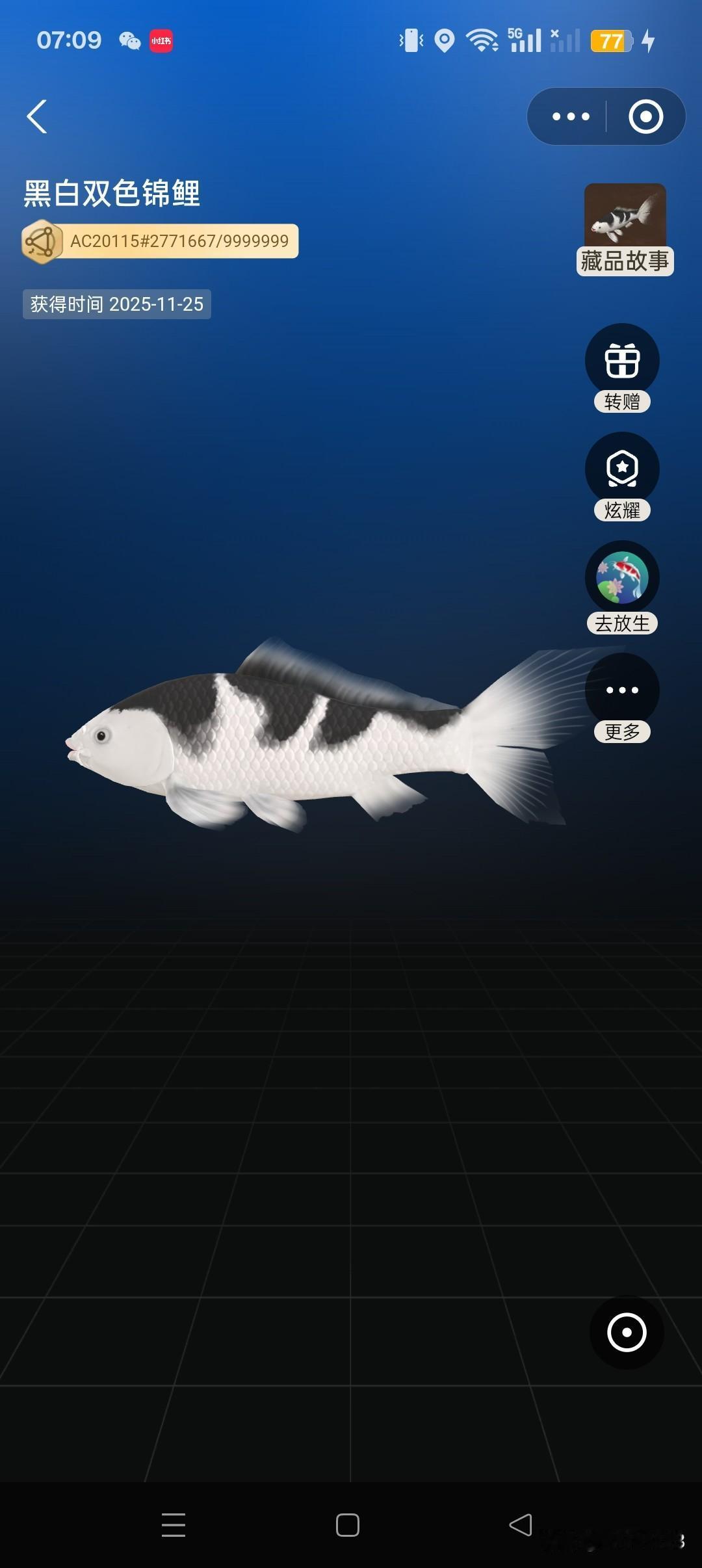 冬日生活打卡季