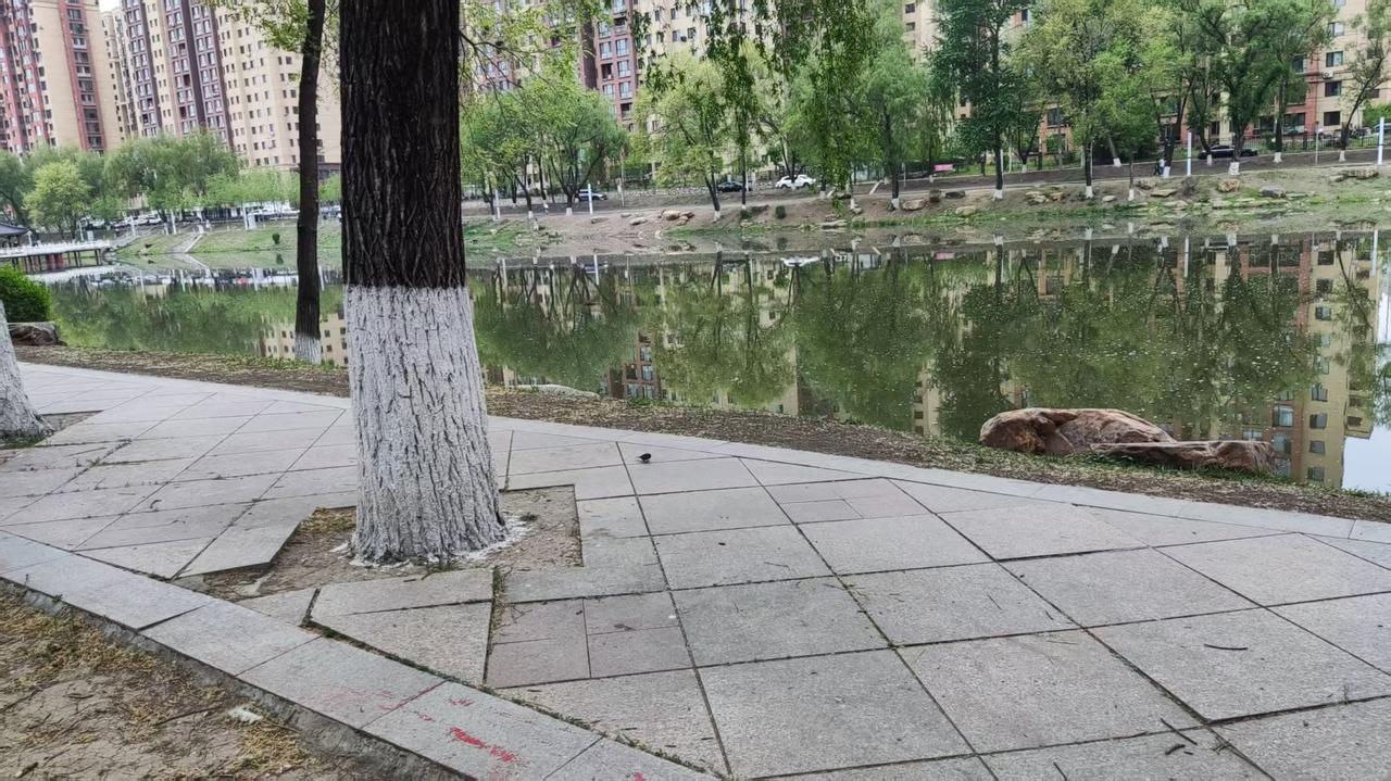 麻雀随想
迎着漫天绚烂的晚霞，我信步走在公园蜿蜒的甬道上，沿着幽静的河畔徐徐而行