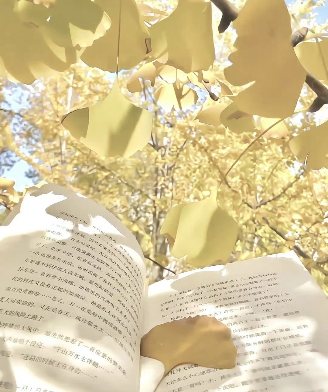 黄色系背景图 | 暖色系背景图 | 可爱风背景图 | 现代风背景图 | 简约风背