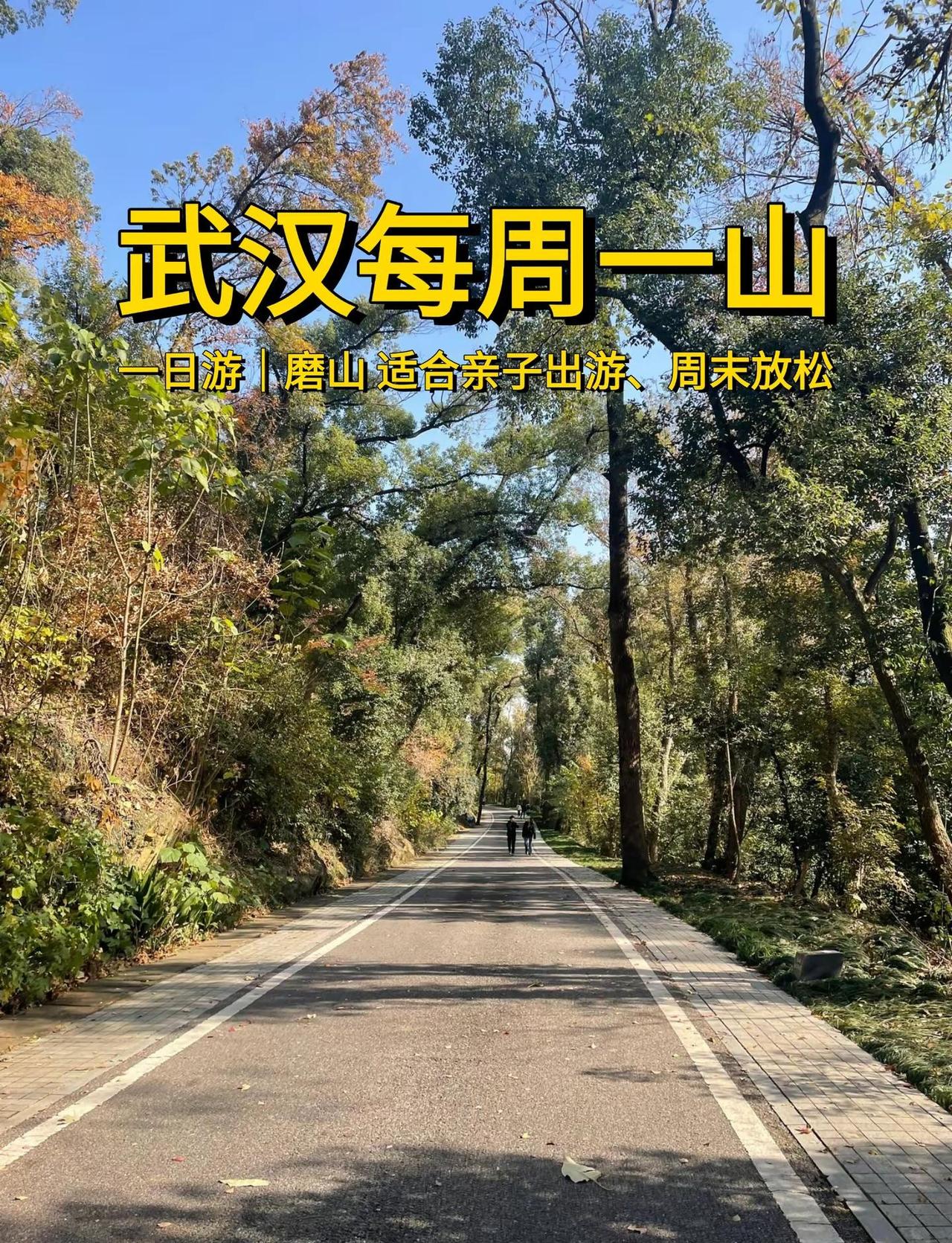 武汉每周一山，今天是磨山！🌲以“楚韵亭台映湖光、层林叠翠拥山峦、四季花海绽芳华