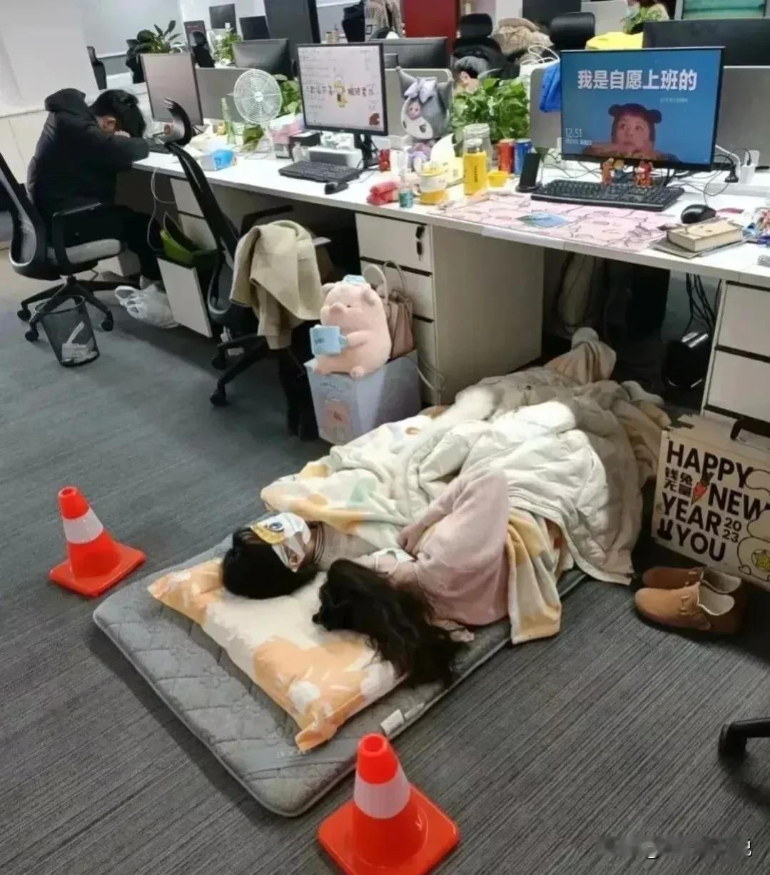 HR部门发文：为创造很满意、属实的工作生活环境，即日起午休时间延长30分钟，相应