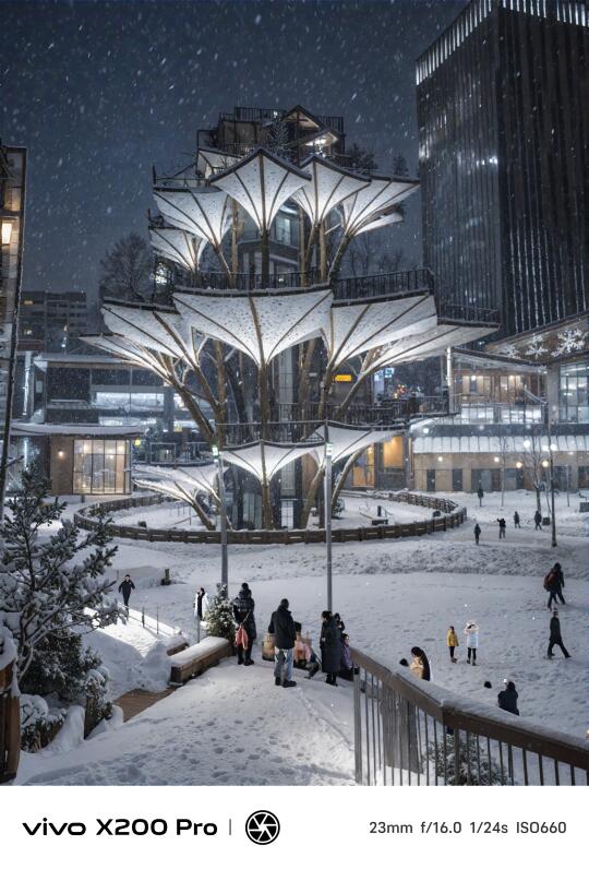 雪后的生命之树是酱紫的😜