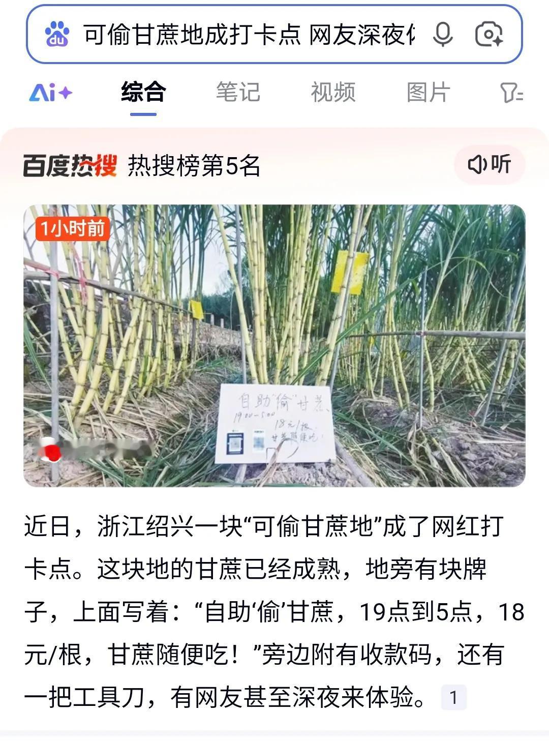 今天必须得说说浙江绍兴的一件新鲜事儿！啥事儿呢？有块“可偷甘蔗地”居然成了网红打
