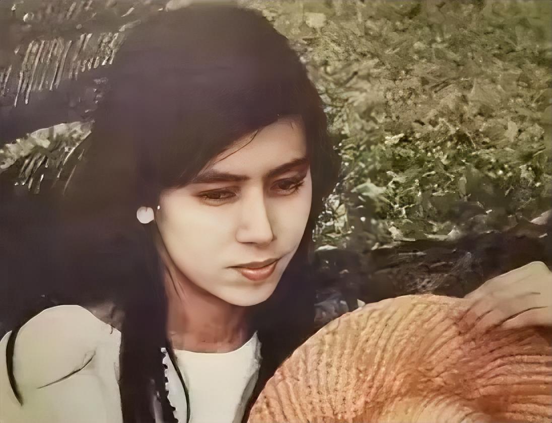 1976年，19岁的许纯美去富豪家玩时，被李文清强暴却不幸“中彩”，为了面子，许
