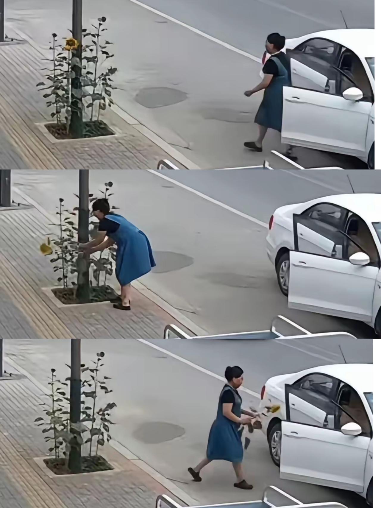 动作行云流水一气呵成，这位妈妈一摘“夺魁”！
       孩子的高考成绩尚未张