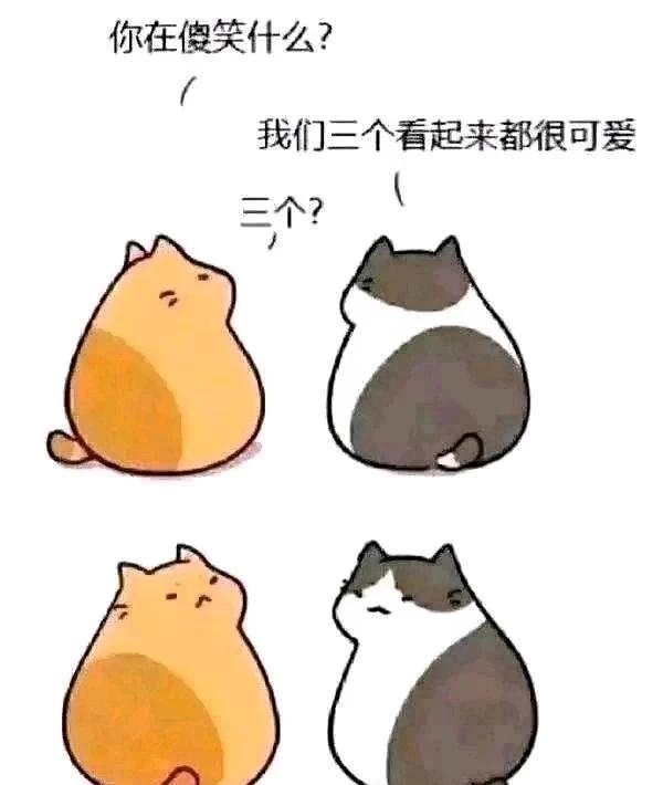 三个看起来都很可爱
梗图 迷惑行为大赏 搞笑图文 好可爱 有亿点点可爱 meme