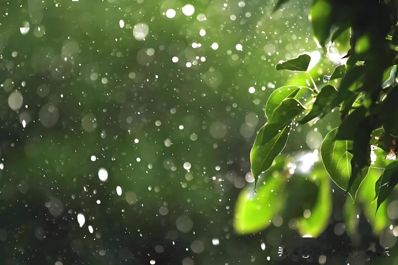 8月份的秋天是北京一年四季中最为迷人的季节之一，尤其是当细雨轻轻洒落时，整个城市
