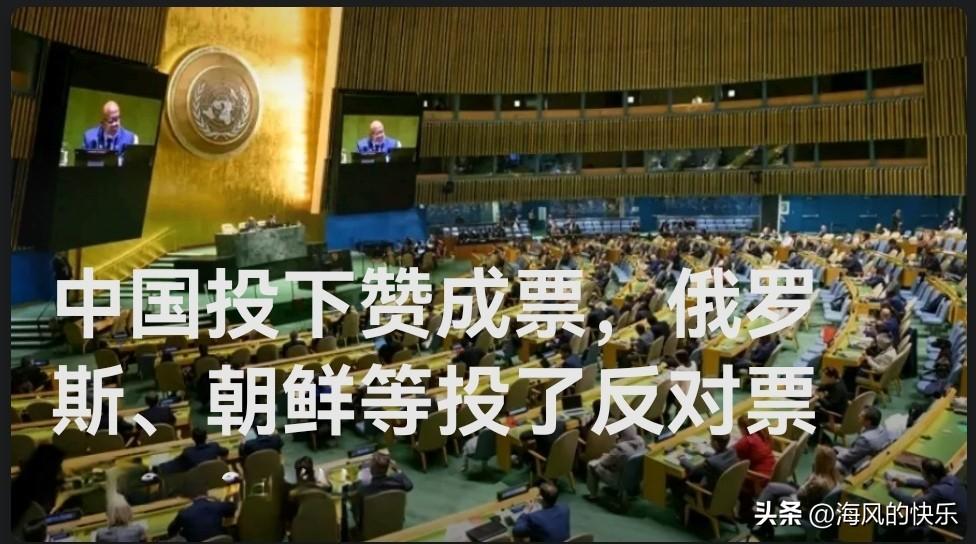 中国投下赞成票，俄罗斯、朝鲜等投了反对票

    据外媒报道当地时间3月31日