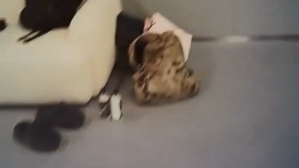 炤熙的私人小天地☁️ 