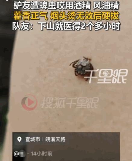 太可怕了！6月15日，安徽宣城，一男子徒步至半山腰时，不幸被蜱虫紧紧咬住。因下山