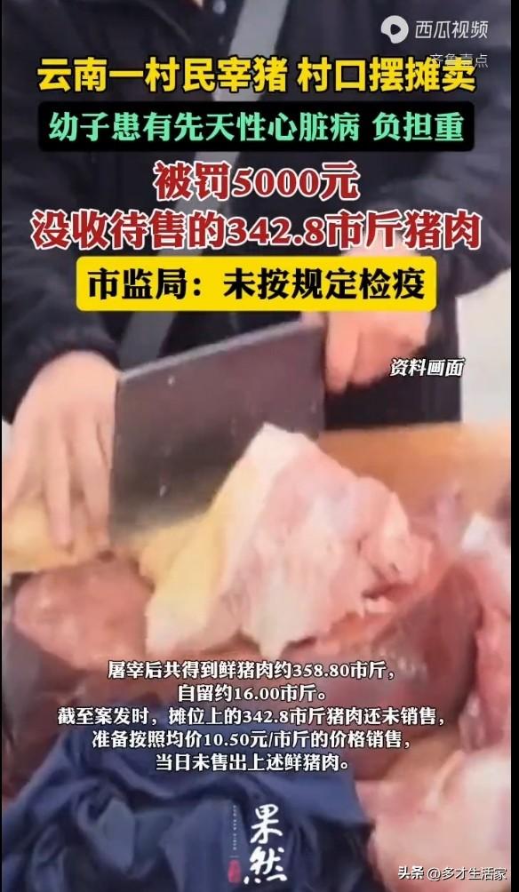 当地回应
在家宰头猪卖，被罚5000！孩子有先心病的农民，连这点活路都要堵死吗？
