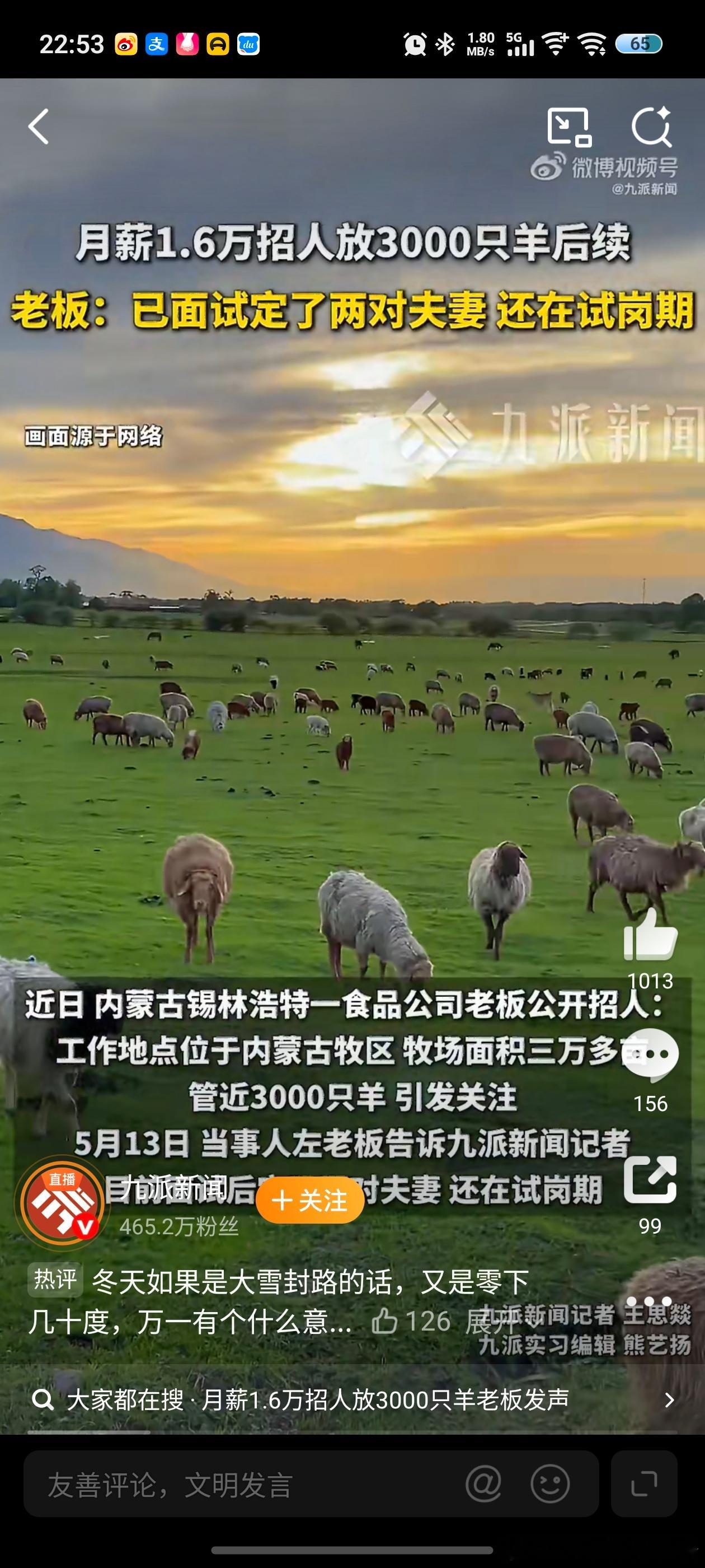 月薪1.6万放羊已有两对夫妻试岗工资确实很高但放3000只羊也是头疼的问题，有养