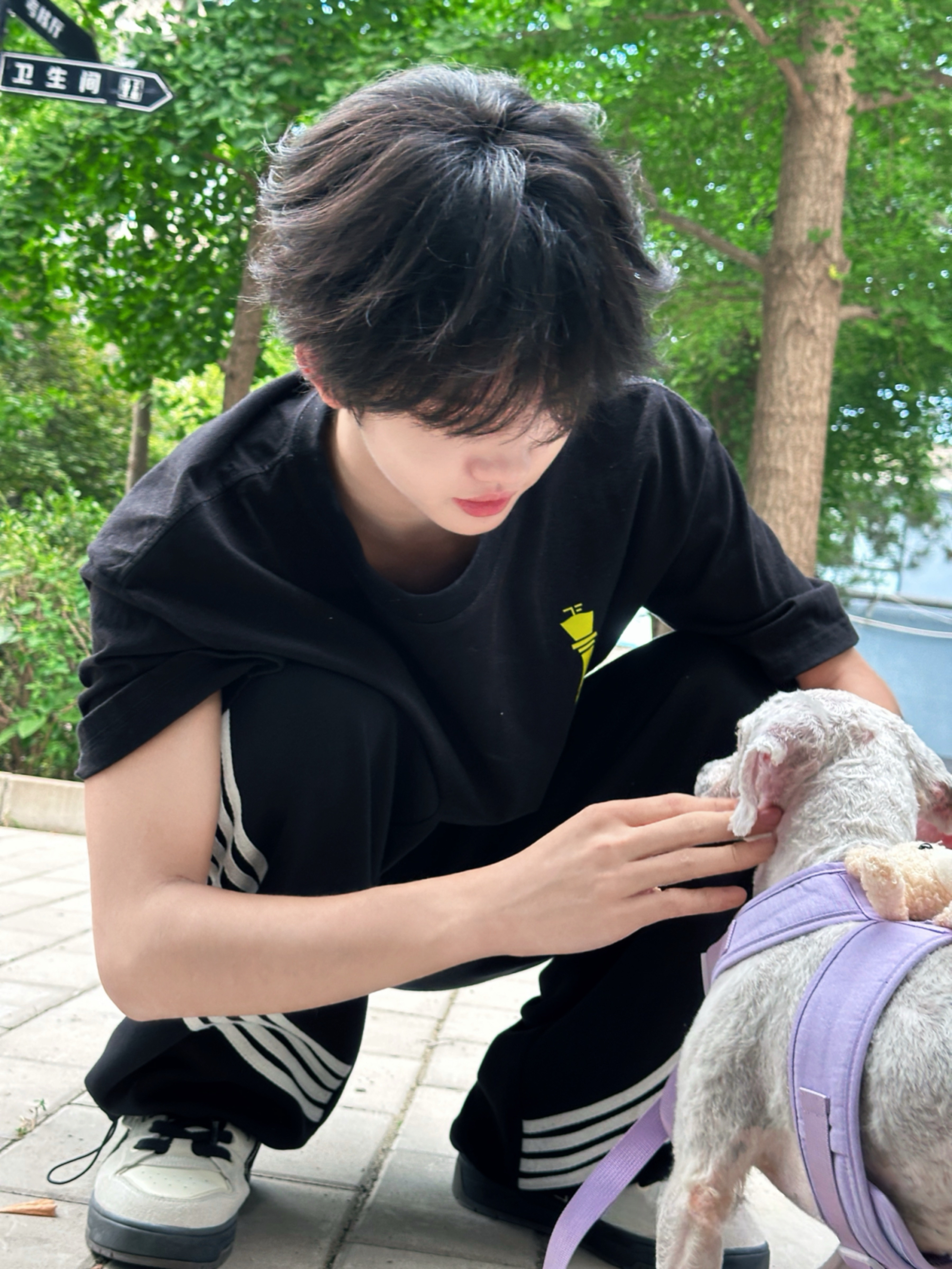 高会更新阳光很好☀️突突很可爱🐶 