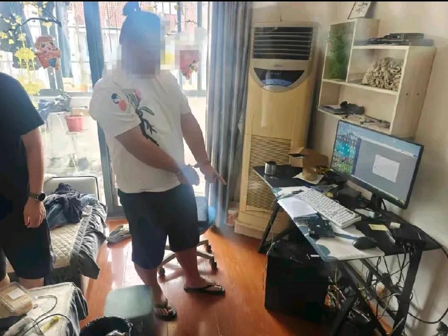 外挂之祸：互联网绝非“作弊乐园”

亲爱的小伙伴们，最近在上海金山发生了一件大事