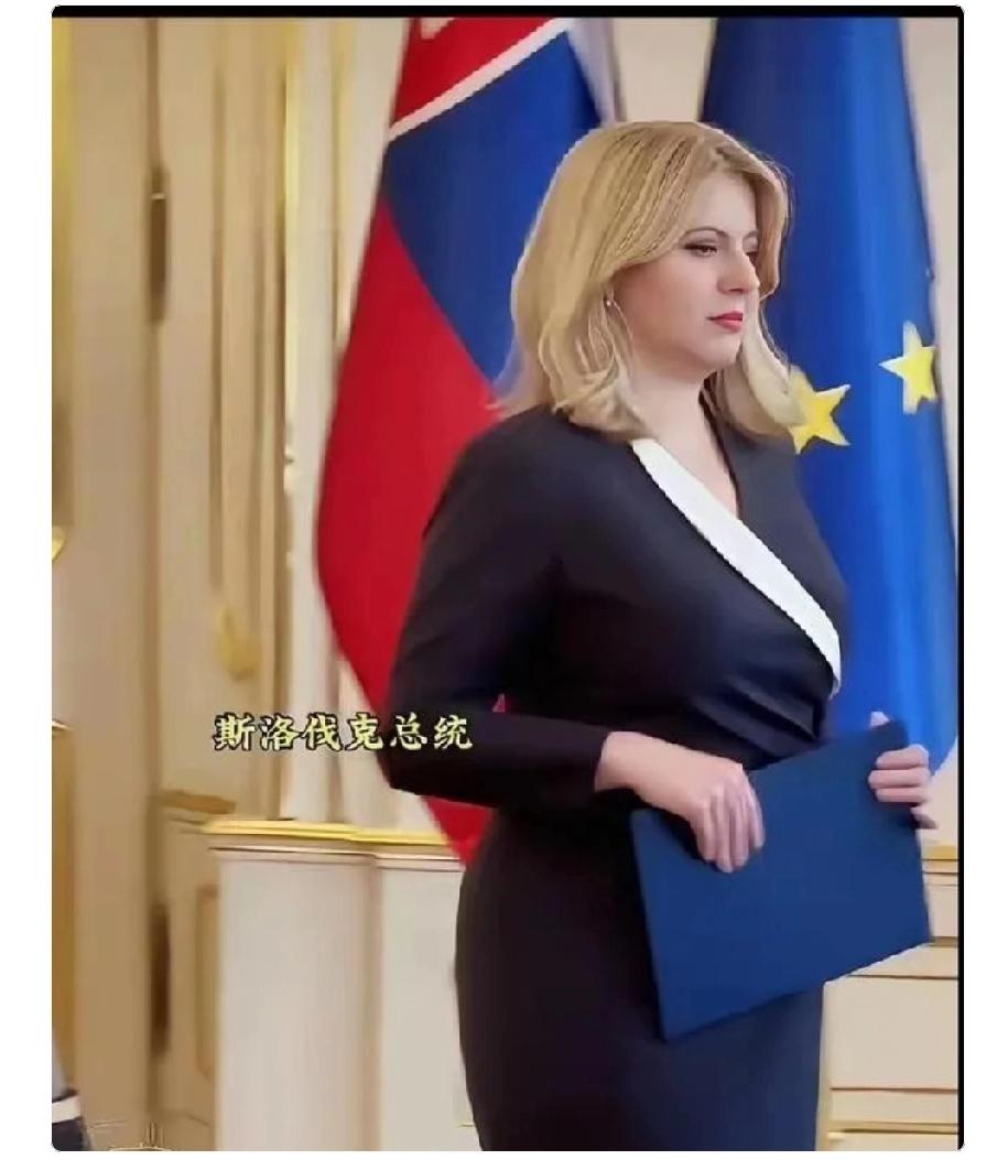 斯洛伐克女总统恰普托娃，被称为全球最美总统，这美可不只是外表。她1973年生于布
