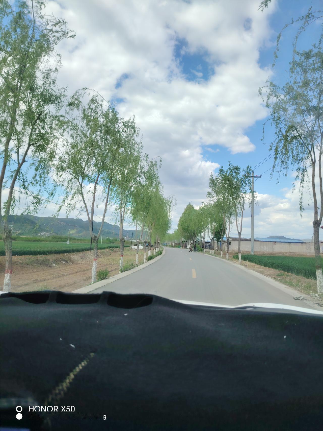 春日生活打卡季春天来了，万物复苏，给大地增添了新绿，路边的树吐出新芽，已成荫，蓝