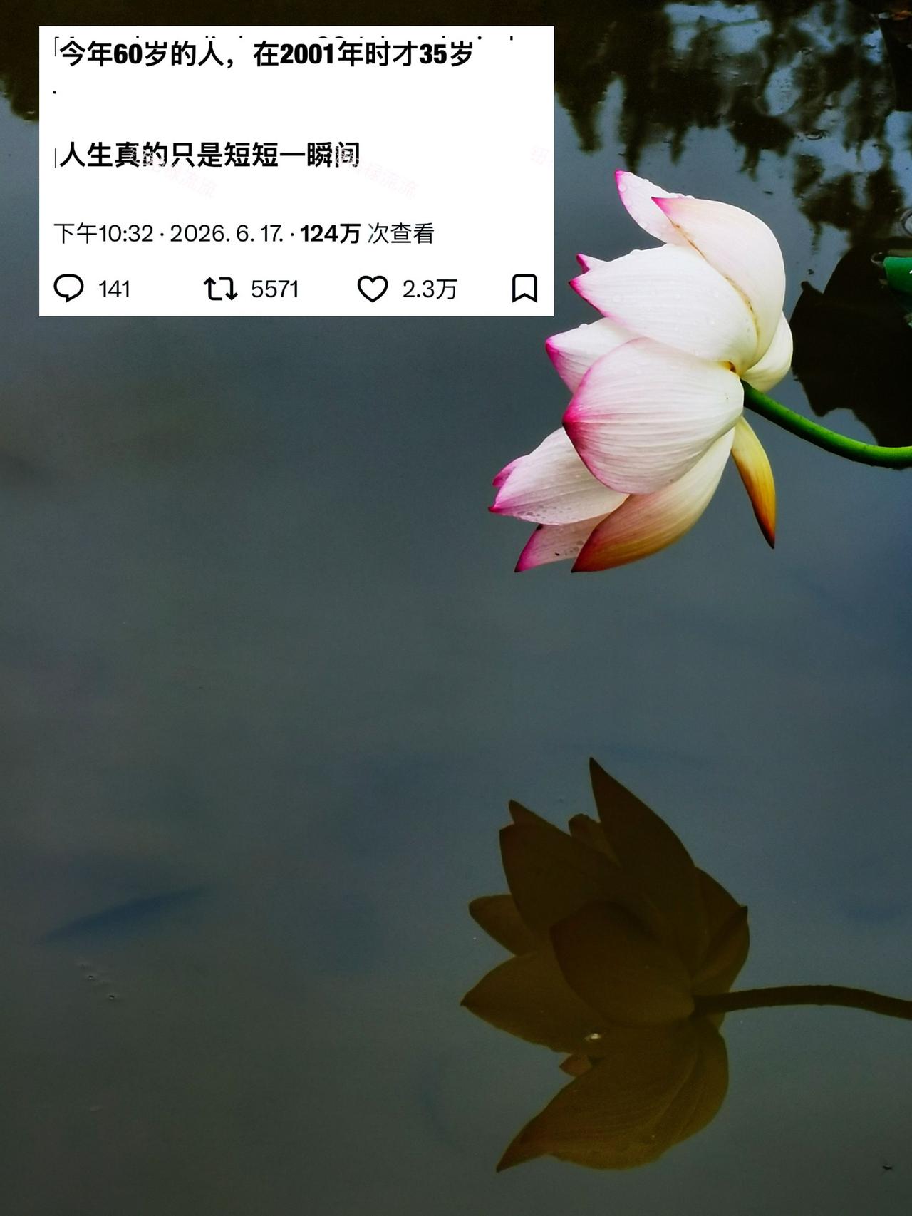 人间百年不过白驹一瞬，终日追名逐利、纠缠爱恨、困在无尽内耗里，暮然回望万事皆空，