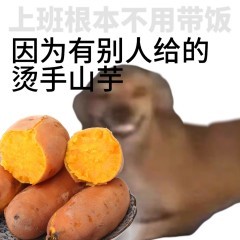 教练组：这烫手的机动 早知道男队也全选拔了 