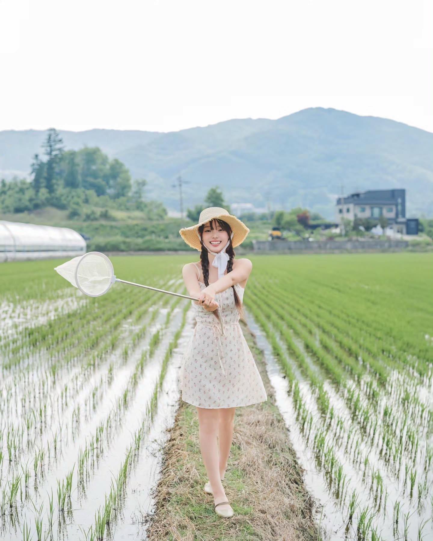 稻田夏日限定。