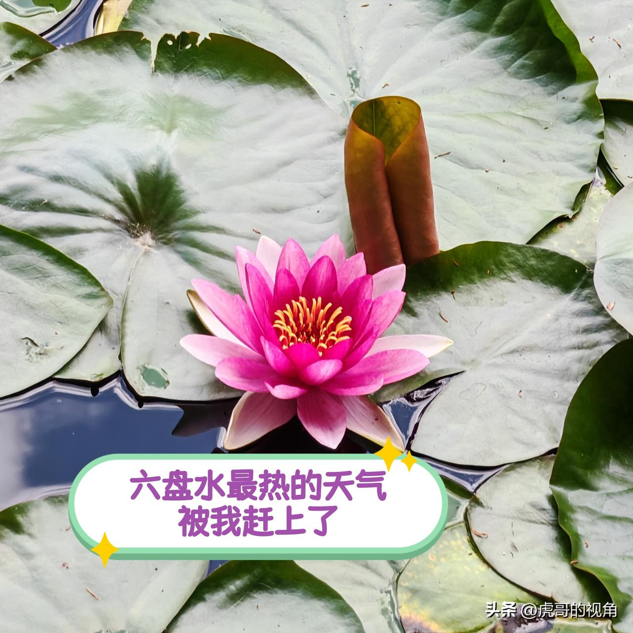 19℃的凉都六盘水，那最热的天气或许都被我“赶上”了。昨天下午6点过后，气温仍有
