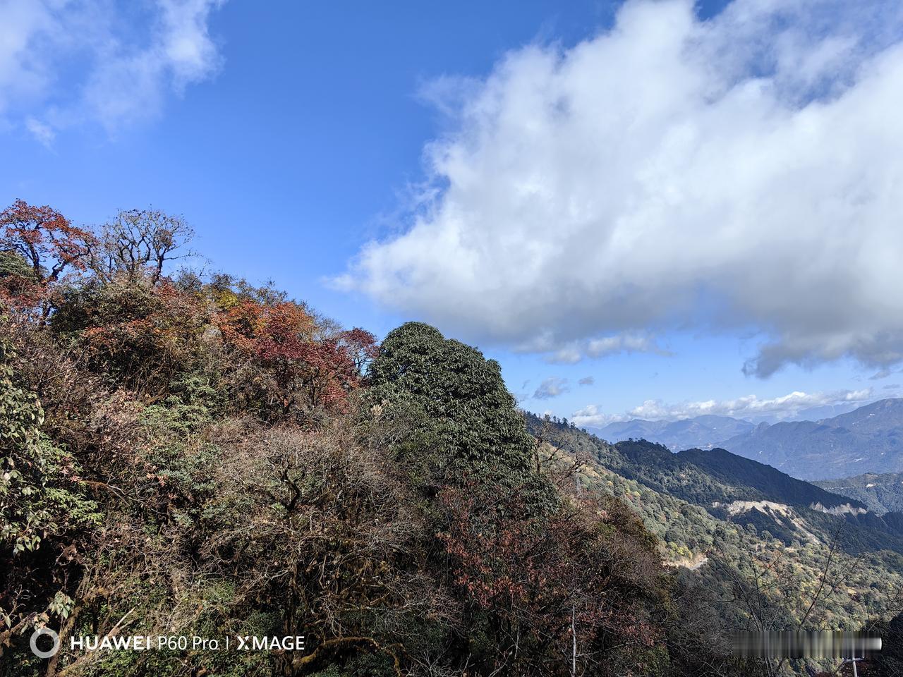 别总盯着远方的“诗和田野”，脚下的路、身边的人、眼前的饭，才是构成生活的真实底色
