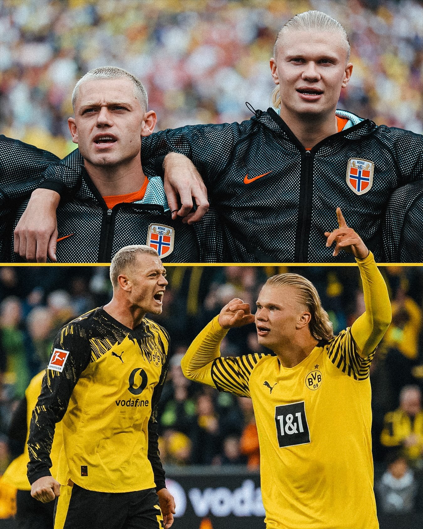 🥺横好像看到了，你们共同身披黄黑战袍、并肩作战的模样！💛🖤🇳🇴heja