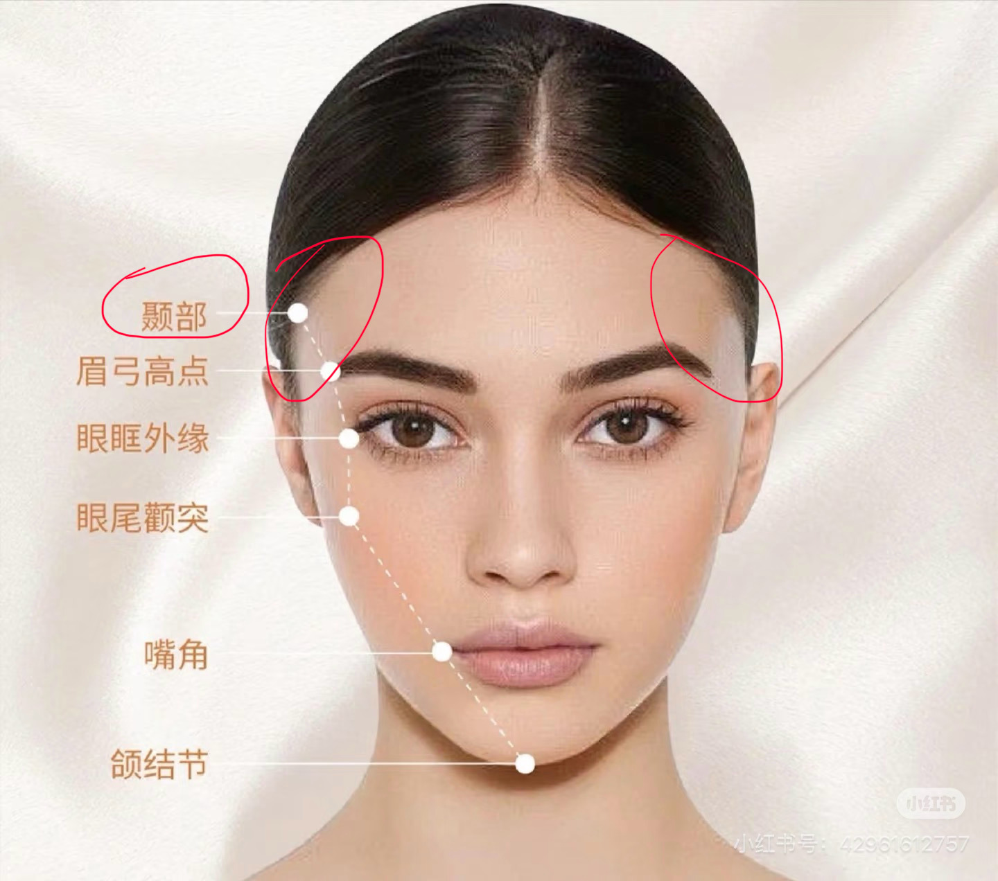 好想看见女神的颞部