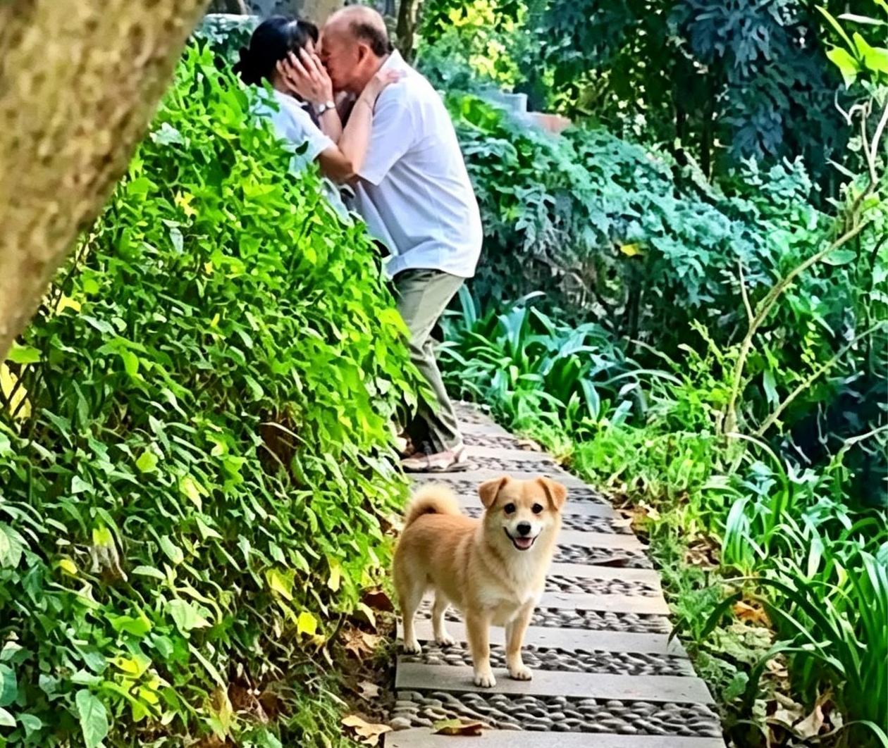 有没有发现现在谈恋爱的主力军悄悄换了人？
 
公园里大爷大妈从容地奔赴感情，跳广