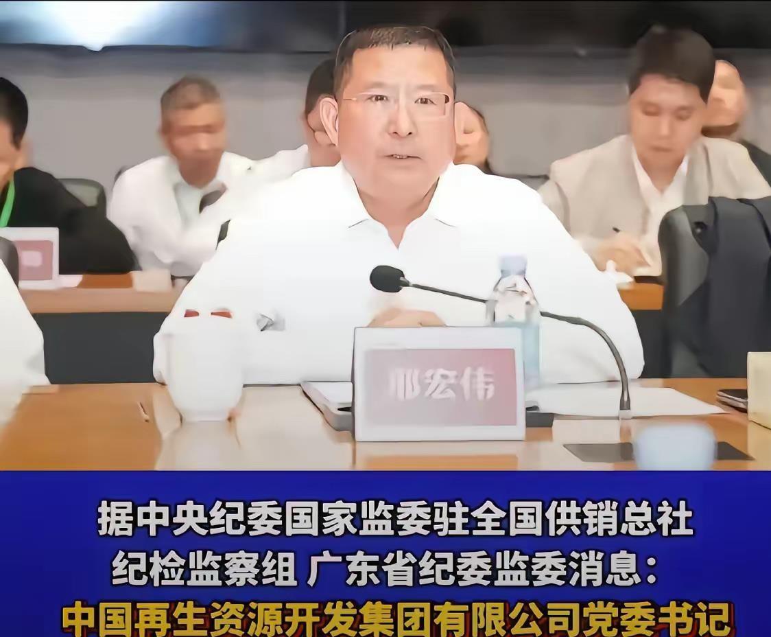 中国再生资源开发集团原董事长邢宏伟，一个人肩挑党委书记、董事长、总经理三副担子，
