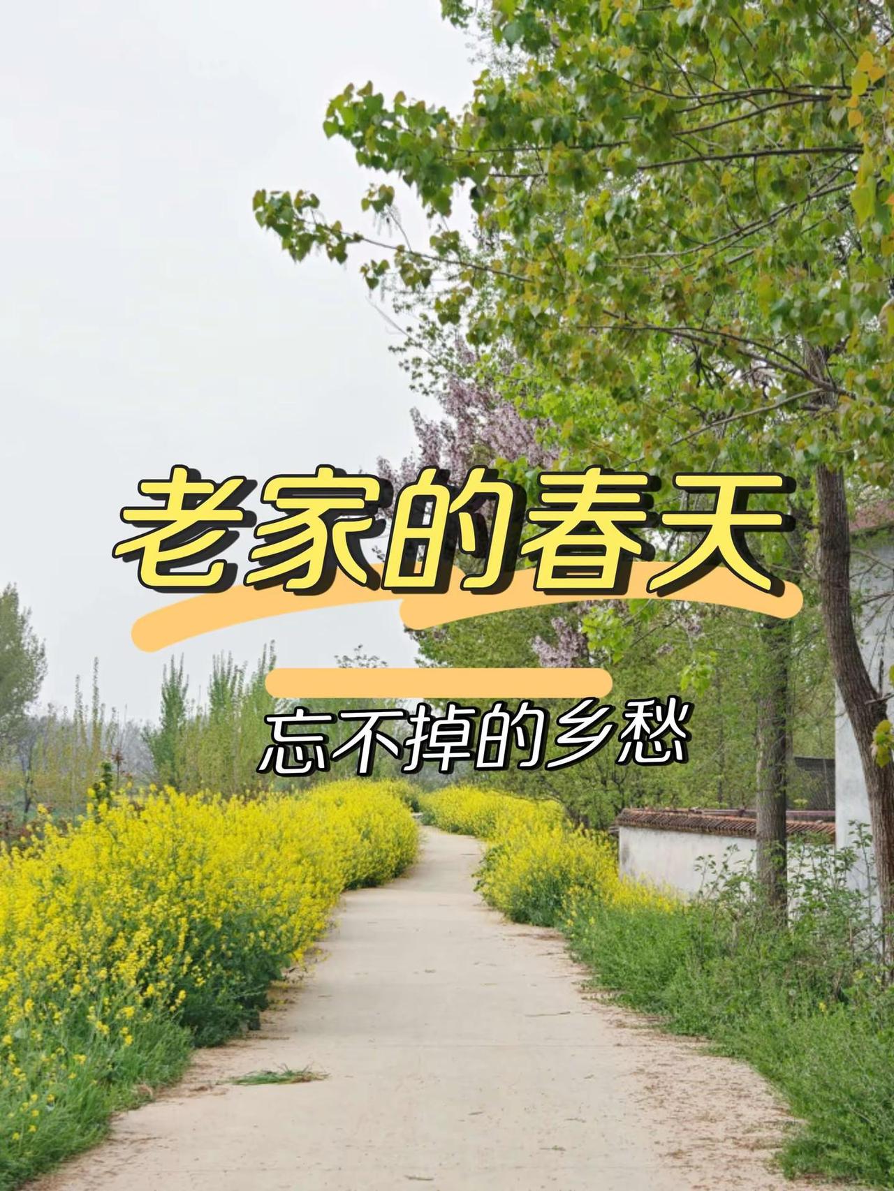 因常年在外工作，自从下学后，已多年不曾欣赏老家的春景！今年选择常回家看看，想每个