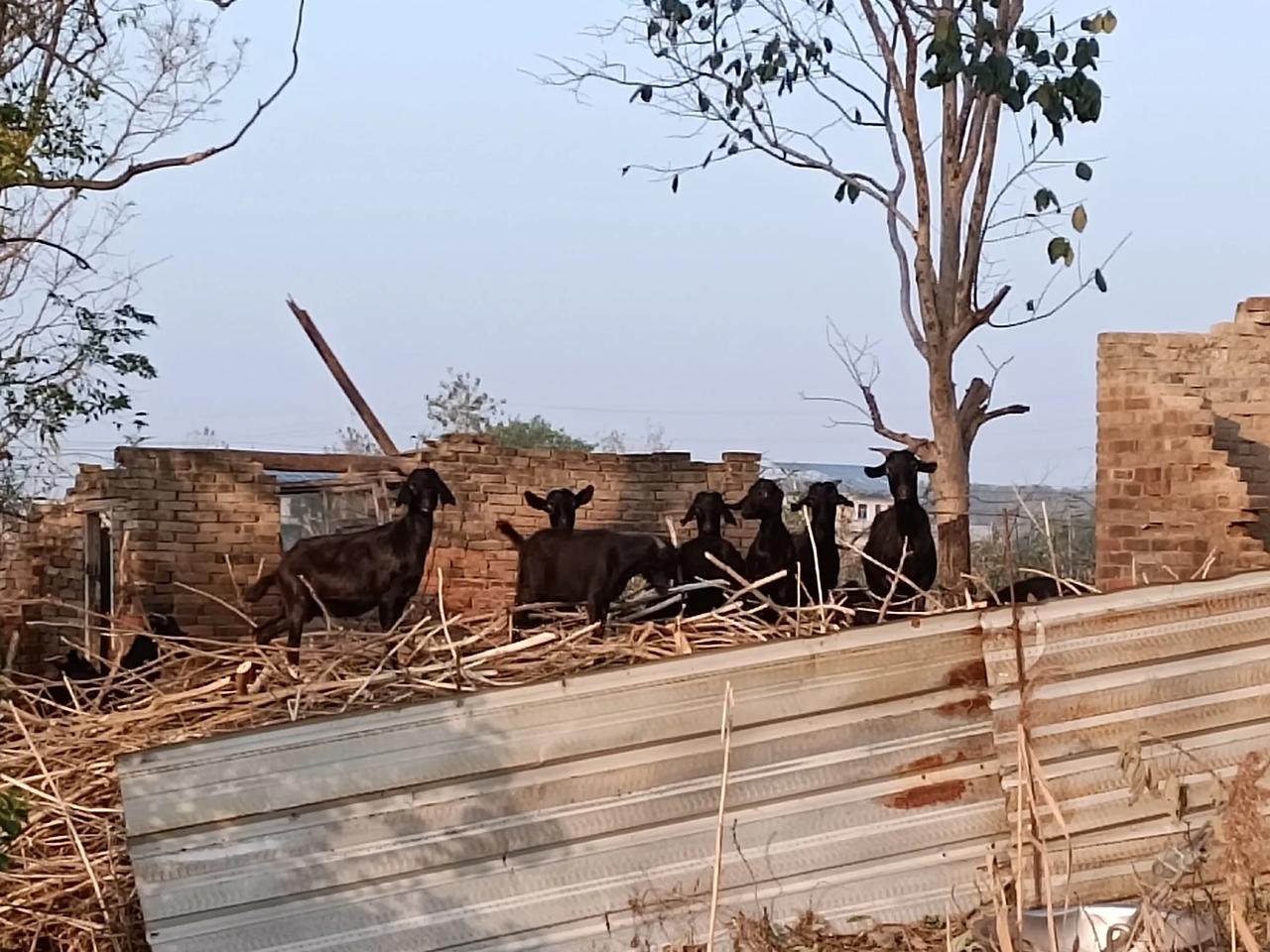 如何在平淡的日子里突围?
越来越感受到巨大的压力，真不知道以前兜里只有几万块的时