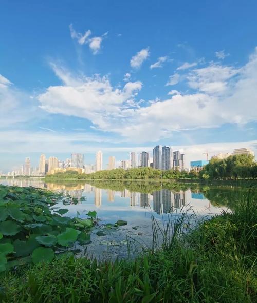 五月，武汉的初夏微风拂过湖面，沙湖公园迎来了它一年中最为灵动与绚烂的时刻。称为武