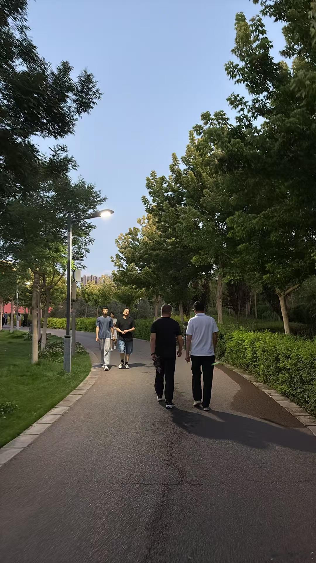 看看，人家都是成双成对。就我不。 