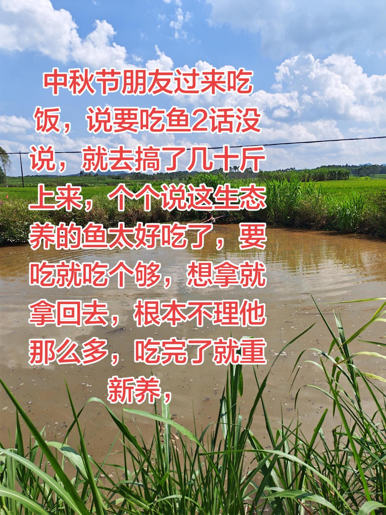 农村自家养的鱼，只要你们想吃，随时过来。养鱼不是为了赚钱养鱼日记 养鱼日记 农村