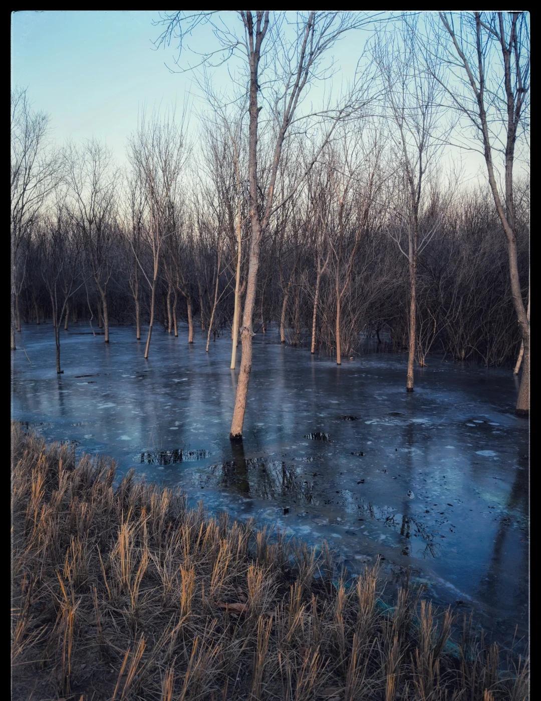 金盏公园还是要工作日去呀
如此美景，恐只有金谷园可幻拟之
然西晋八王之乱，毁
此