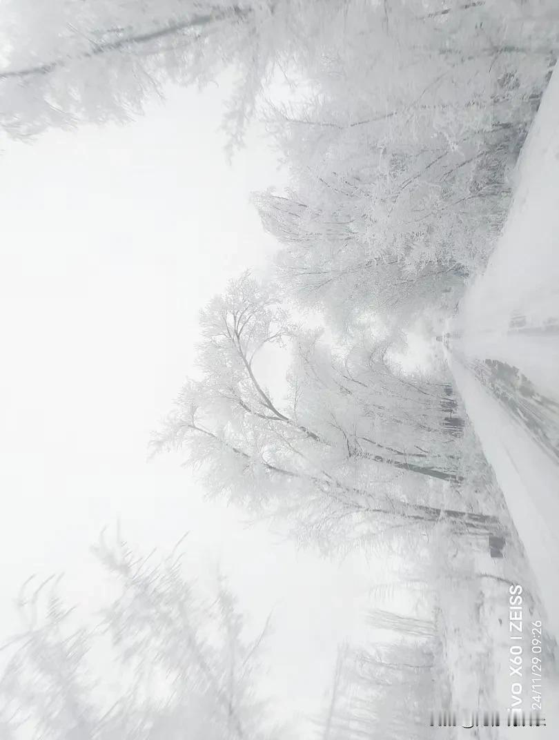 对于现在的中国教育有什么看法 说下现在的中国教育，真是让人又爱又无奈。就像海淀有