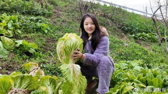 任敏回老家不仅穿省服还摘白菜了 湖南妹子回老家有多接地气？任敏直接穿上省服下地摘