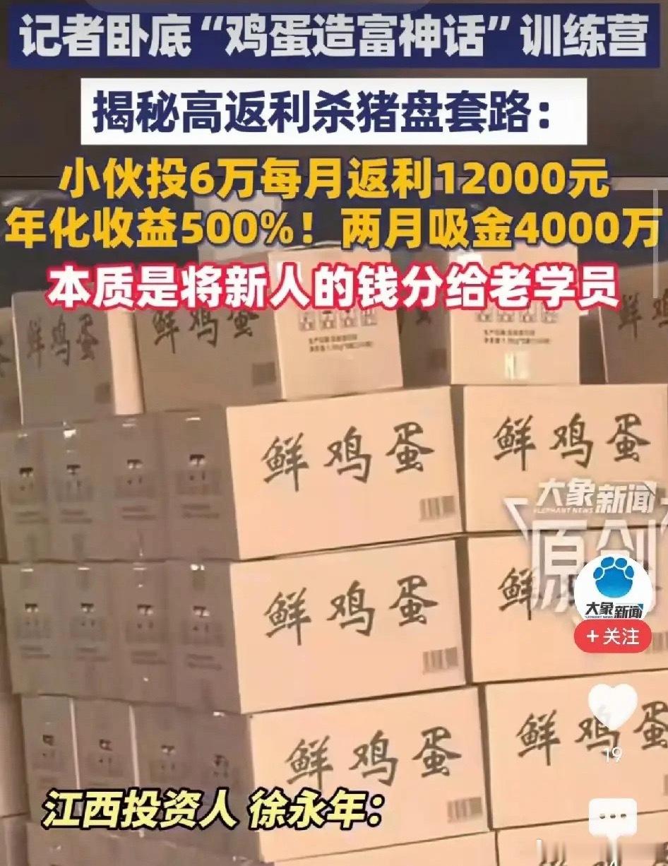终于弄明白了，为什么有些人的鸡蛋，能免费吃还能年赚500%。不是商业模式创新，而