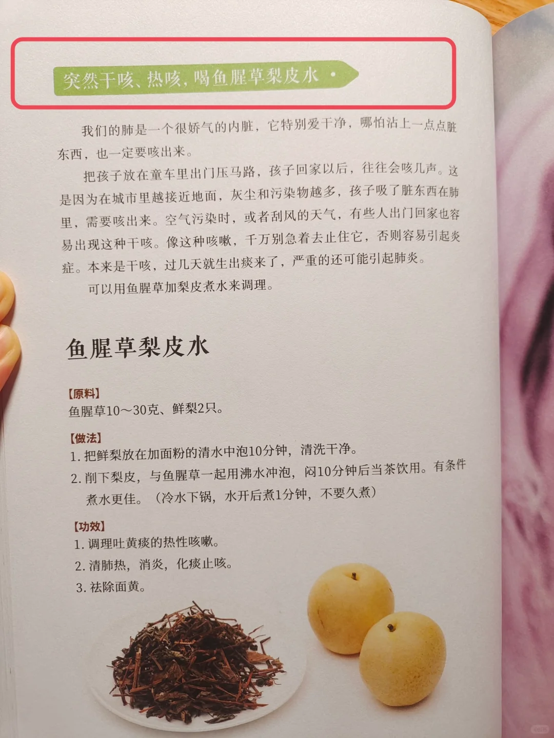 陈允斌老师——秋天，对付咳嗽的智慧🔥