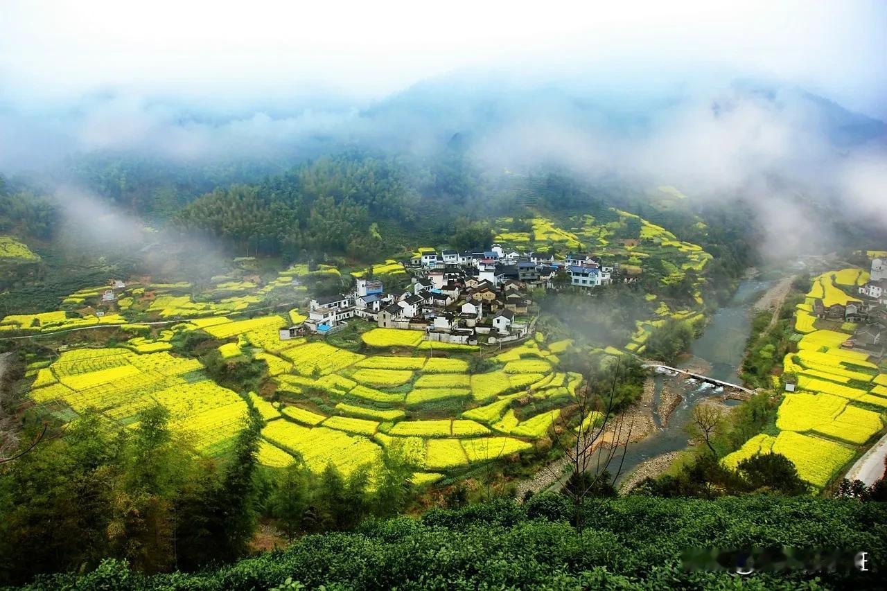手机摄影教程：捕捉山间小镇与油菜花之美

看图一，当我们漫步在山间，被那金黄色的
