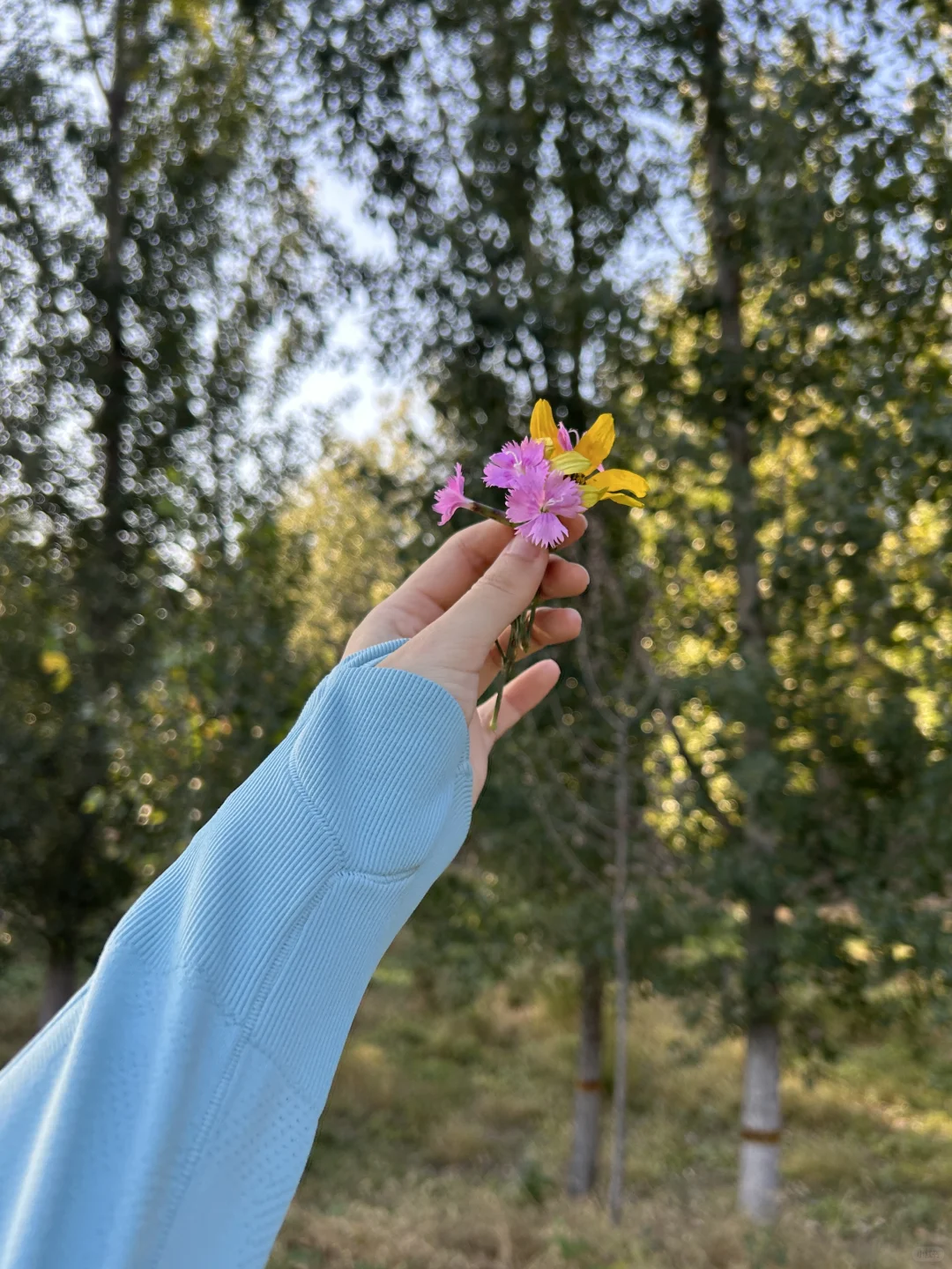 在大自然里很难不漂亮 💐